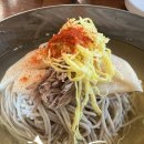 가평맛집 막국수 애견동반 가평냉면 부손 설악본점 내돈내산