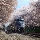 진해구 ⓒ-3 이미지