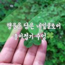 희망 접기 | 행운을 담은 네잎클로버 종이접기 우리 아이들과 함께한 감성 가득 미술활동 (엄마표미술/ 늘봄미술)