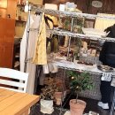 양덕동마카롱 | 내돈내산 합성동 두쫀쿠 맛집으로 유명한 모처럼에서 두쫀쿠,마카롱,휘낭시에 구매후기