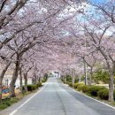 웅동수원지 이미지