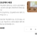 모아모아 | 청주 브라이덜샤워 파티룸 스튜디오메모아 방문후기 드레스대여