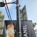 (주)화인플레이스 | 성수 팝업스토어 7월 샤넬 코코크러쉬 팝업 후기