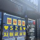 광자의봄