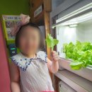 꼬마세상어린이집 이미지