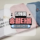 송월타올 앞 | [답례품] 송월타올 수건 제작 내돈내산 후기