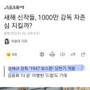 1947보스톤 상반기 개봉 이미지