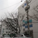 영남들국화아파트 이미지