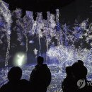 숲사랑(산불방지)홍보관 이미지