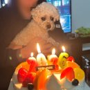 아르노펜션 이미지