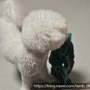 세븐일레븐발산점 이미지