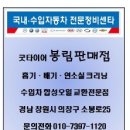 P0069 이미지