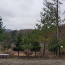 평창 나모펜션 이미지