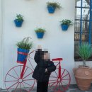 삼척해수욕장C | 쏠비치 삼척 내부에 위치하고 있는 경치좋은 카페 추천 마마티라