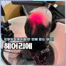 나미나미 | 충주 미용실 헤어리에 나미나미, OE클리닉 두피모발케어 후기