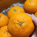 브리지팜 이미지