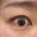 이일여자중학교 | 익산 속눈썹펌 맛집 여기, 예쁜 눈 1:1 맞춤 컬 시술 전문