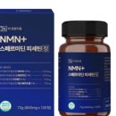 정은드림