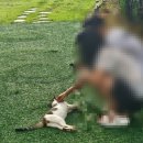 안면도위드유 이미지