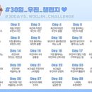 D-12 이미지