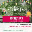 숲멍 이미지