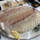 어장 | 강릉교동맛집 현지인도 줄 서는 횟집 <어장> 후기