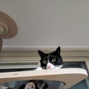 아이조아요양보호소 동탄점 이미지