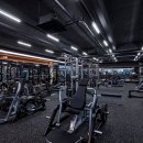 렉스휘트니스 이미지