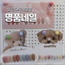 파리바게뜨 신봉점 | 수지 명품네일 물어뜯는 손톱의 화려한 변신! 센스 넘치는 이달의 아트 대만족 후기