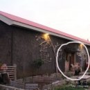 개스트 하우스 이미지