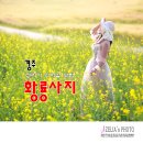보리가익어갈무렵 이미지