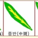 원창광택 이미지