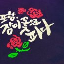 스시요시 - 포항시 북구 장량로174번길 6-11 | 스시요시