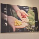 모리농장 이미지