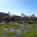팔봉공설운동장 네이버블로그