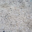 제주 우도 홍조단괴 해빈 이미지