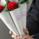 헤일리아트랩