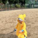 잣절공원 - 2330 | [구로] 30개월 아이와 다녀온 개봉동 잣절공원 후기🌳