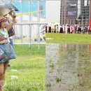 펜타비트 이미지