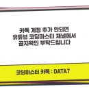 마스터 | 네이버 카페 강의 대행사 실행사 대량 발행 교육 코딩마스터 후기