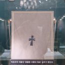 더 그레이스 (The Grace)