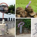 금성리 노인회관 이미지