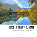 칠보오토바이 | 내장산 단풍 실시간 최근 방문후기 절정시기 주차장 정보까지