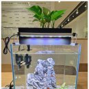 (주)비케이팜 이미지