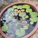 토담민속주막 | 과거로 온듯한 성주 한개민속마을