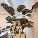 아름건축사사무소 이미지