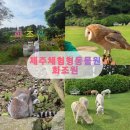새들채 | 제주 애월 아이랑 가볼만한곳, 화조원 방문 후기