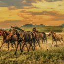 유화목장 이미지