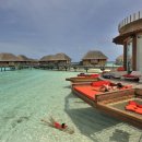 핑크메드 이미지