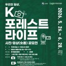 포레스트K